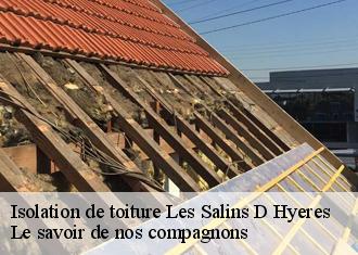 Isolation de toiture  les-salins-d-hyeres-83400 Le savoir de nos compagnons 