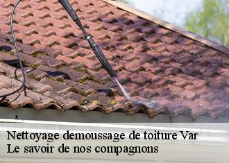 Nettoyage demoussage de toiture 83 Var  Vavasseur Couverture