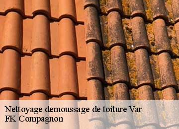 Nettoyage demoussage de toiture 83 Var FK Compagnon