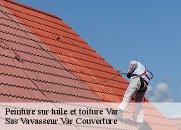 Peinture sur tuile et toiture 83 Var ETS BAUMANN couvreur 83