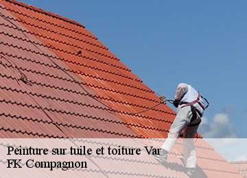 Peinture sur tuile et toiture 83 Var FK Compagnon
