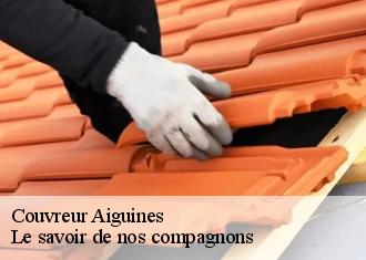 Couvreur  aiguines-83630 Prenat couverture
