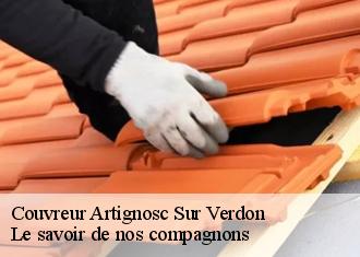 Couvreur  artignosc-sur-verdon-83630 Prenat couverture