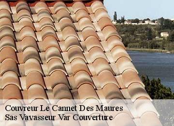 Couvreur  le-cannet-des-maures-83340 Sas Vavasseur Var Couverture