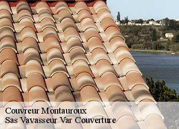 Couvreur  montauroux-83440 Sas Vavasseur Var Couverture