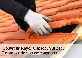Couvreur  rayol-canadel-sur-mer-83820 Vavasseur Couverture