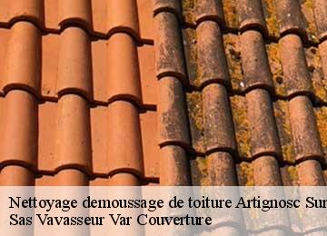 Nettoyage demoussage de toiture artignosc-sur-verdon-83630 Sas Vavasseur Var Couverture