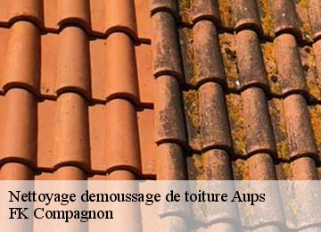 Nettoyage demoussage de toiture aups-83630 FK Compagnon