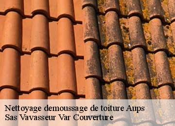 Nettoyage demoussage de toiture aups-83630 Sas Vavasseur Var Couverture