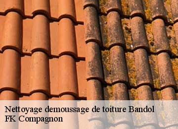 Nettoyage demoussage de toiture bandol-83150 FK Compagnon