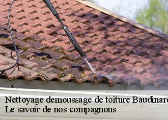 Nettoyage demoussage de toiture  baudinard-sur-verdon-83630 Le savoir de nos compagnons 