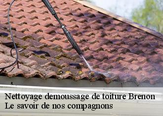 Nettoyage demoussage de toiture  brenon-83840 Le savoir de nos compagnons 