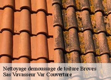Nettoyage demoussage de toiture broves-83440 Sas Vavasseur Var Couverture