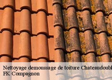 Nettoyage demoussage de toiture chateaudouble-83300 FK Compagnon