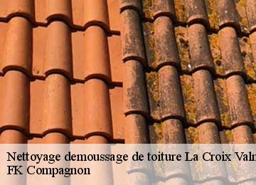 Nettoyage demoussage de toiture la-croix-valmer-83420 FK Compagnon
