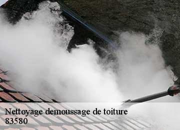 Nettoyage demoussage de toiture 83580