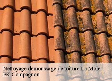 Nettoyage demoussage de toiture la-mole-83310 FK Compagnon