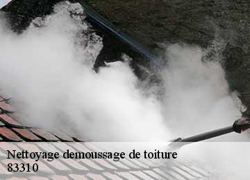 Nettoyage demoussage de toiture 83310