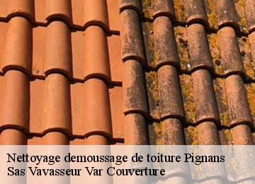 Nettoyage demoussage de toiture pignans-83790 Sas Vavasseur Var Couverture