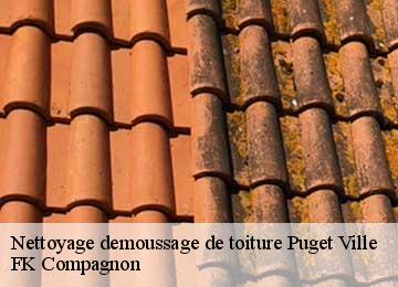 Nettoyage demoussage de toiture puget-ville-83390 FK Compagnon