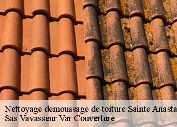 Nettoyage demoussage de toiture  sainte-anastasie-sur-issole-83136 Sas Vavasseur Var Couverture