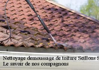 Nettoyage demoussage de toiture  seillons-source-dargens-83470 Le savoir de nos compagnons 