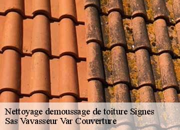 Nettoyage demoussage de toiture signes-83870 Sas Vavasseur Var Couverture