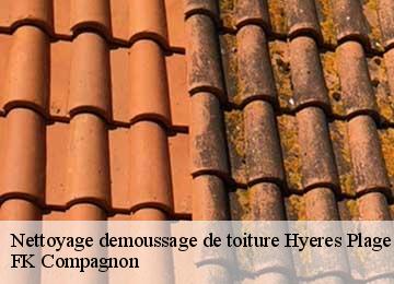 Nettoyage demoussage de toiture hyeres-plage-83400 FK Compagnon