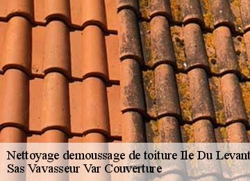 Nettoyage demoussage de toiture  ile-du-levant-83400 Sas Vavasseur Var Couverture