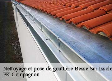 Nettoyage et pose de gouttière besse-sur-issole-83890 FK Compagnon