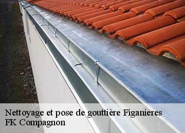 Nettoyage et pose de gouttière figanieres-83830 FK Compagnon