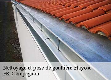 Nettoyage et pose de gouttière flayosc-83780 FK Compagnon