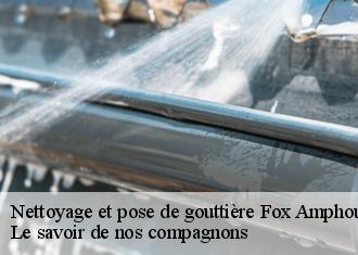Nettoyage et pose de gouttière  fox-amphoux-83670 Prenat couverture