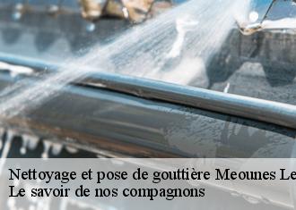 Nettoyage et pose de gouttière  meounes-les-montrieux-83136 Vavasseur Couverture