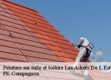 Peinture sur tuile et toiture les-adrets-de-l-esterel-83600 FK Compagnon