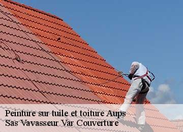 Peinture sur tuile et toiture aups-83630 Sas Vavasseur Var Couverture
