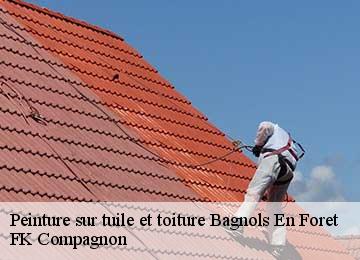 Peinture sur tuile et toiture bagnols-en-foret-83600 FK Compagnon