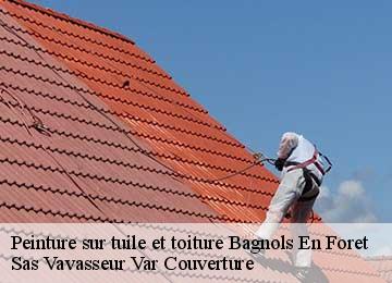 Peinture sur tuile et toiture bagnols-en-foret-83600 Sas Vavasseur Var Couverture