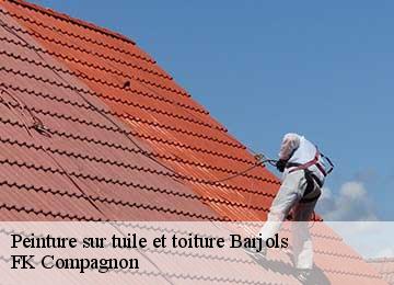Peinture sur tuile et toiture barjols-83670 FK Compagnon