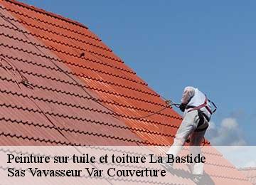 Peinture sur tuile et toiture la-bastide-83840 Sas Vavasseur Var Couverture
