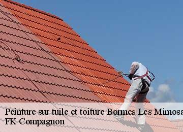 Peinture sur tuile et toiture bormes-les-mimosas-83230 FK Compagnon