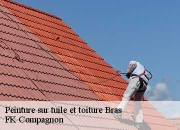 Peinture sur tuile et toiture bras-83149 FK Compagnon