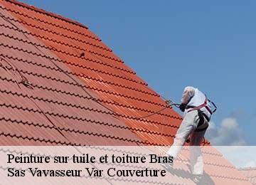 Peinture sur tuile et toiture  bras-83149 Sas Vavasseur Var Couverture