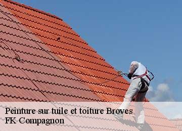 Peinture sur tuile et toiture broves-83440 FK Compagnon