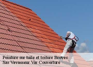 Peinture sur tuile et toiture broves-83440 Sas Vavasseur Var Couverture