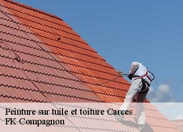 Peinture sur tuile et toiture carces-83570 FK Compagnon