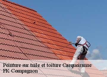 Peinture sur tuile et toiture carqueiranne-83320 FK Compagnon