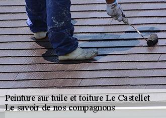 Peinture sur tuile et toiture  le-castellet-83330 Le savoir de nos compagnons 