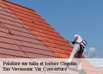 Peinture sur tuile et toiture cogolin-83310 Sas Vavasseur Var Couverture