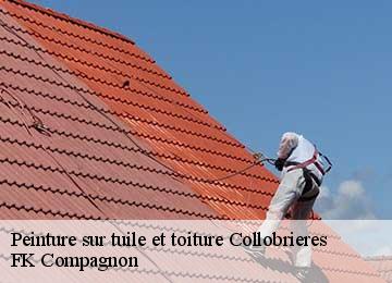 Peinture sur tuile et toiture collobrieres-83610 FK Compagnon